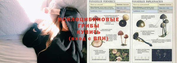 spice Магас